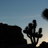 Intersection Rock at sunset