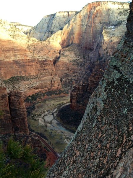 From Angel's Landing, Zion- 2 weeks ago.