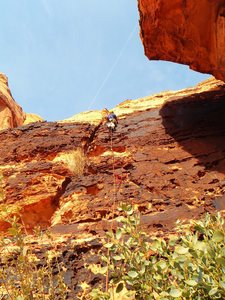 Pitch 2 Orange Clonus