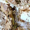 Waterfall about 30 minutes up Molino Creek