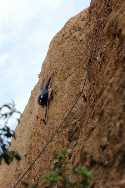 Frank stretching out on "Itsy Bitsy Spider"