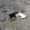 The Bathtub--A sight on a Mtn Bike-Hike to Moonshine Peak on the very east boundary of the LPWHMA