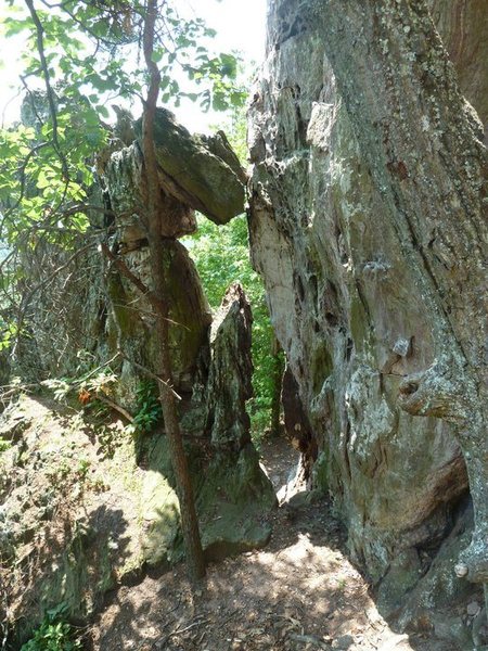 Trundlasaurus Wall<br>
<br>
NoExperienceNecessary(5.6)trad<br>
Idiot Savant (5.10+) sport<br>
<br>
Crowders Mountain State Park, North Carolina