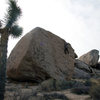 Slashface - V3R<br>
Joshua Tree, CA