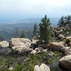 The largest boulder in the picture (in the center left) is the uphill boulder of the Lair. From this perspective the Maw is on the right side and Lockjaw on the left. This is an older photo, there is clearer trail now. 