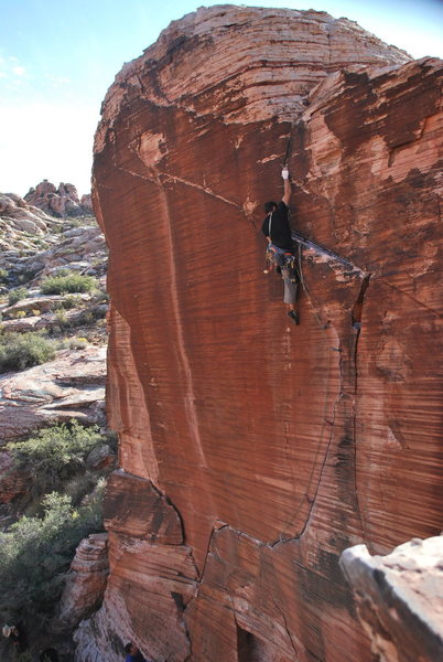 Nice view of the whole pitch. Yin and Yang. 2011. <br>
<br>
Photo: Erica Maharg