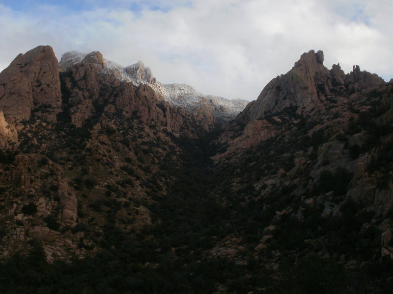 A view of the hills from the hike to Cochise Dome on a beautiful December's day.