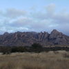 Sheapshead, Cochise Stronghold, AZ