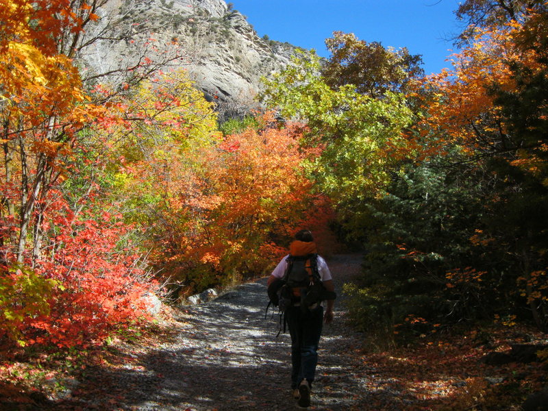 Headed to climb on a nice fall day!