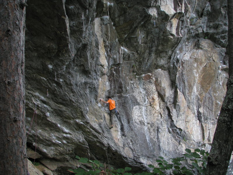 Climber on the shared start of Flying Monkeys, Dynosoar and Lions & Tigers. He has unclipped the first two draws to reduce drag.