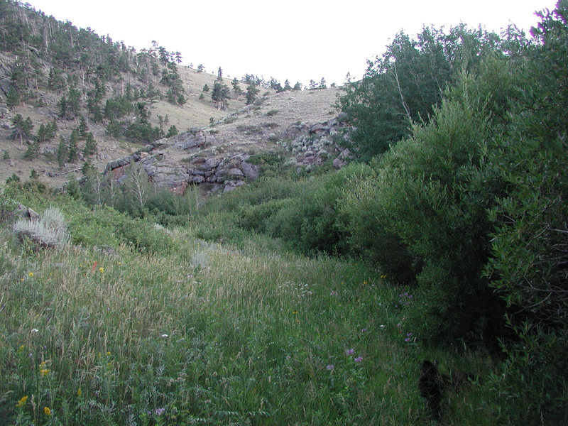 the Beginning of the seasonally overgrown hiking trail of Toni Gulch