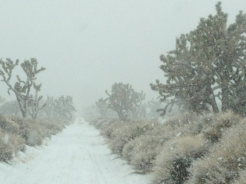 Snow in the Mojave Desert 2/15/12