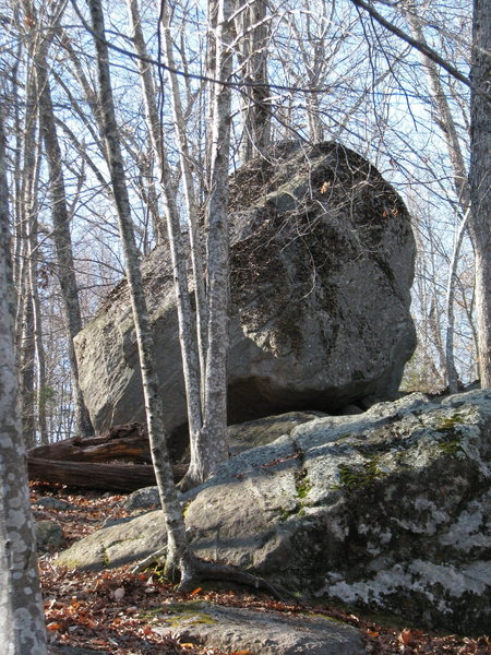 The back side of the Escoheag Boulder. Underneath the lichen are lots of nice holds and easier routes  than the front.