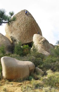 Uncertainty Principle