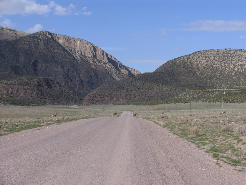 Irish Canyon from Jct CS318 and CO Rd. 10N.