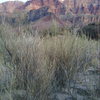 Comanche Ridge<br>
Photo taken from Tanner Rapids.