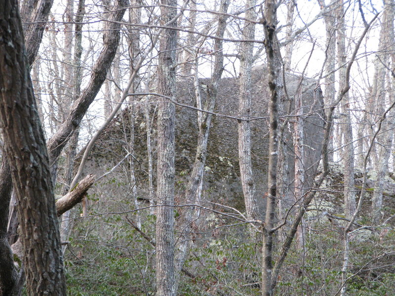 Mammoth sighting north of the hiking portion of Stubtown Rd in DEM land