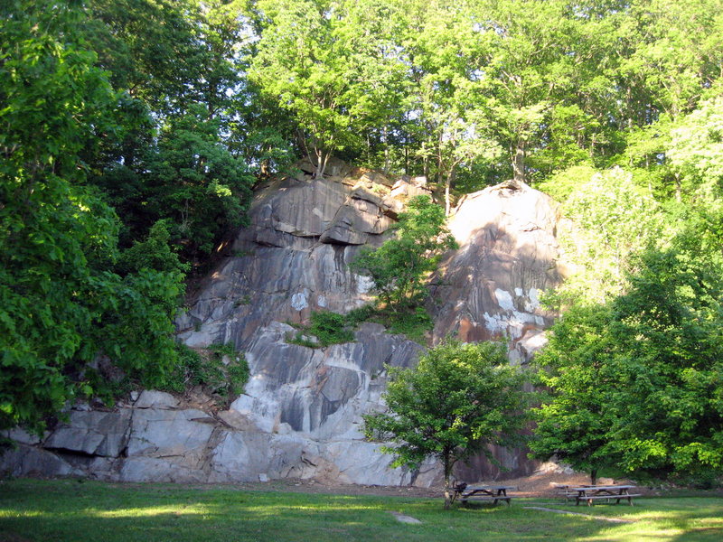 Alapocas main wall with spring greenery.