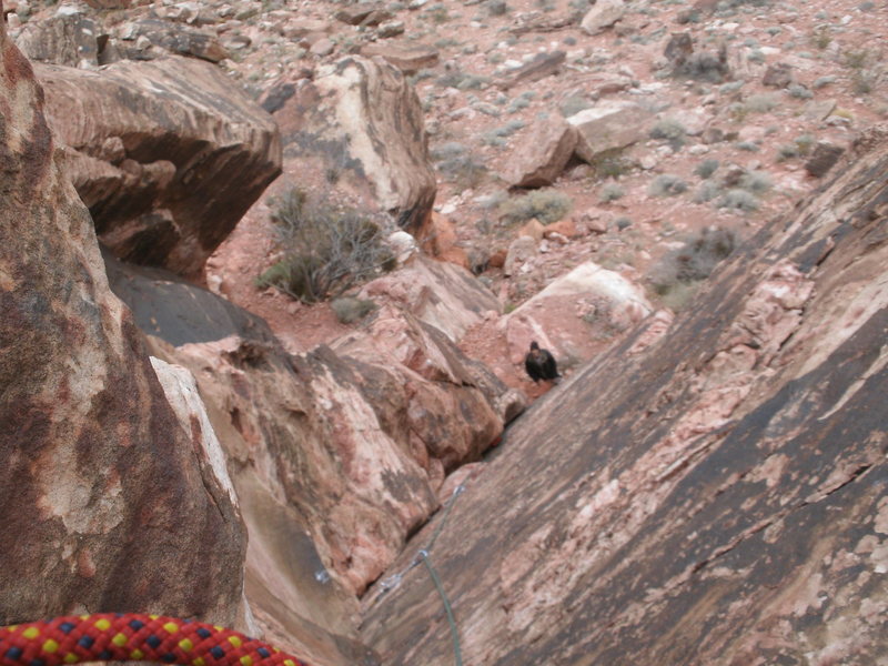 a look down the end of the climb