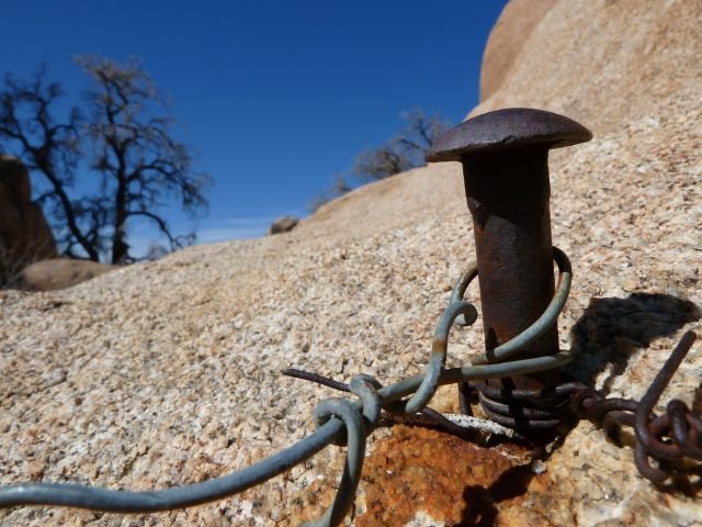 Relic from the past at Hound Rock, Joshua Tree NP