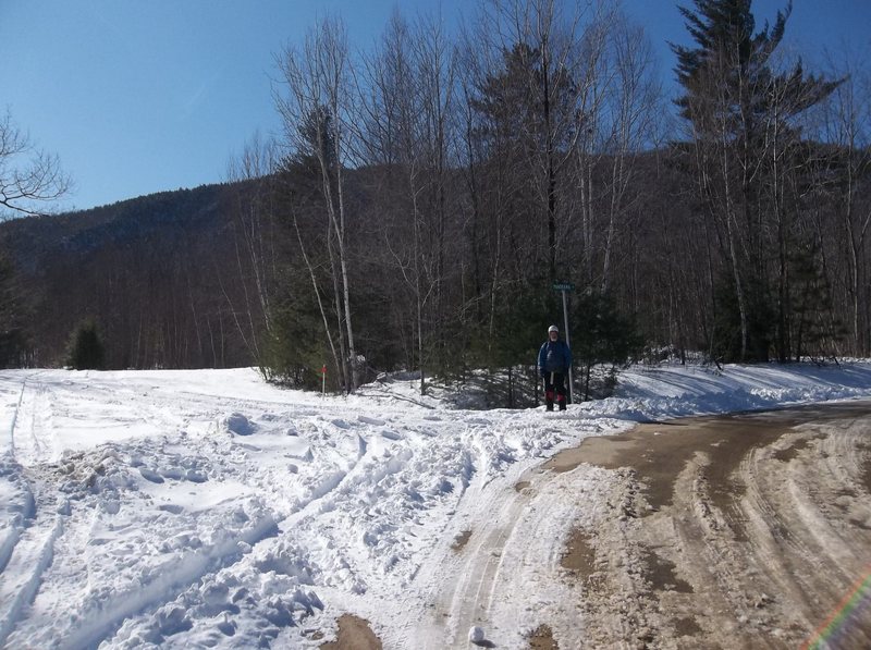 Bradley White standing at the fork of Panorama and Bear Mountain Road.