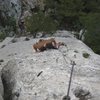 Looking down Moby Dick at Settore della Torre