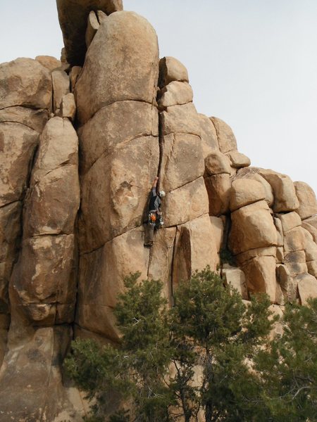 Mark Collar leading through the upper fist crack of Winds of Whoopie 5.11a, JTMP