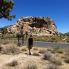 Joshua Tree National Park