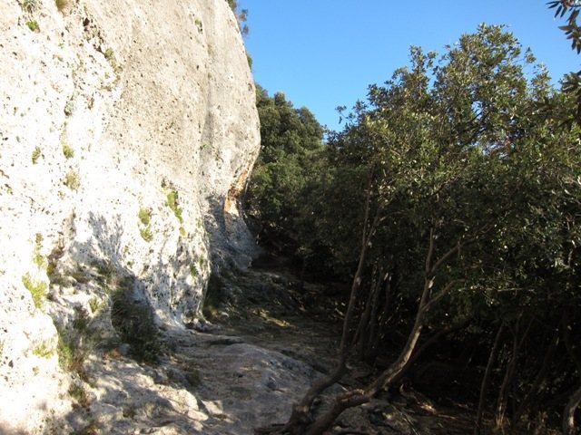 Nice, wide base area at Settore Centrale