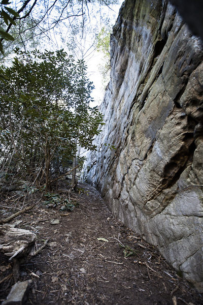 Trail left of Scaphoid, leads to new climbs not in book apparently.