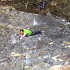 Derek Pearson at the second hard section, just above the third bolt of The salient rock shape of the locomotive (5.10c). 