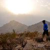 Joshua Tree, CA