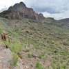 A view of The Sanctuary from the approach ridge. Safford Peak in the middle, Panther Peak on the right.