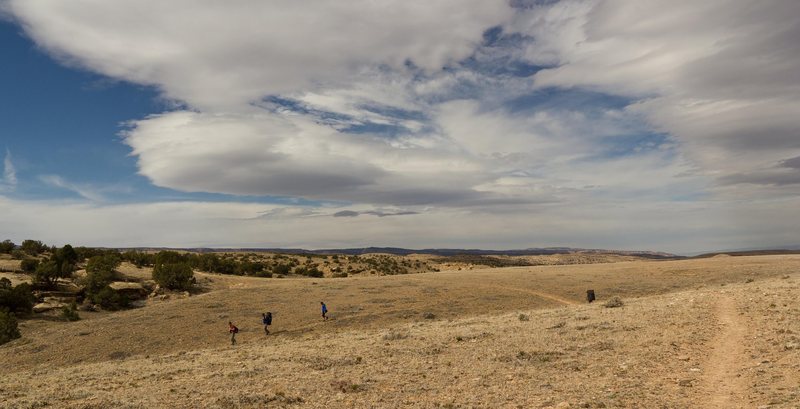 The approach to the Late Bloomer Area. Feels a bit like walking on the moon; very barren.