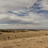 The approach to the Late Bloomer Area. Feels a bit like walking on the moon; very barren.