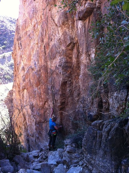 Kristina standing below "Bebop" and "Rocksteady"