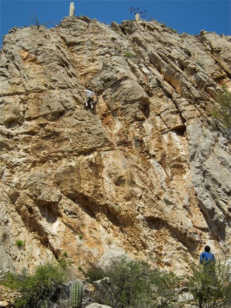 Another route that climbs better than it looks.  Down climb from the last bolt when cleaning or risk a head on collision with a saguaro cactus when you swing to the other side of the cove.