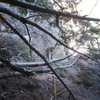 The "Hanging Garden".<br>
Just some of the super clean and aesthetic climbing that makes this route a Flatiron CLASSIC!  <br>
Another interesting note: This spot is Mt. Project's divider for the North and Central Flatirons.