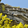 In the crux.  Photo by Tricia.