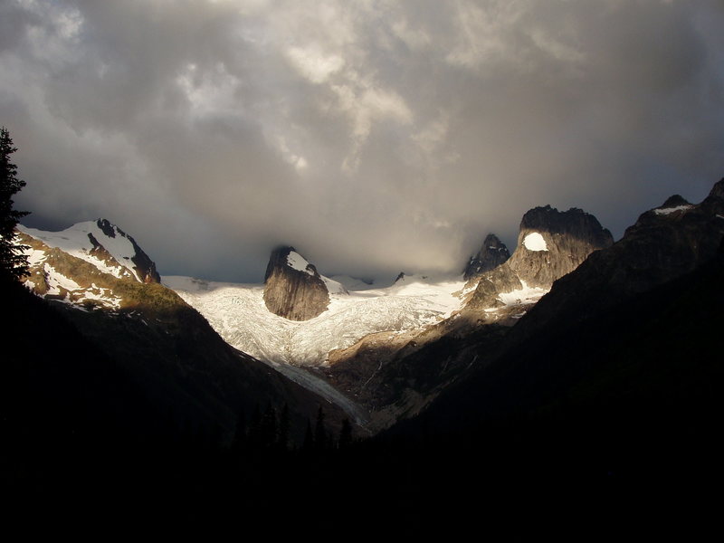 Bugs from, Bugaboo Lodge,