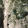 Rappel on Chimney Peak, CO.