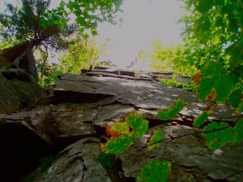 A Place called "Echo" Franconia Notch, NH 