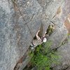 Travis on the crux...