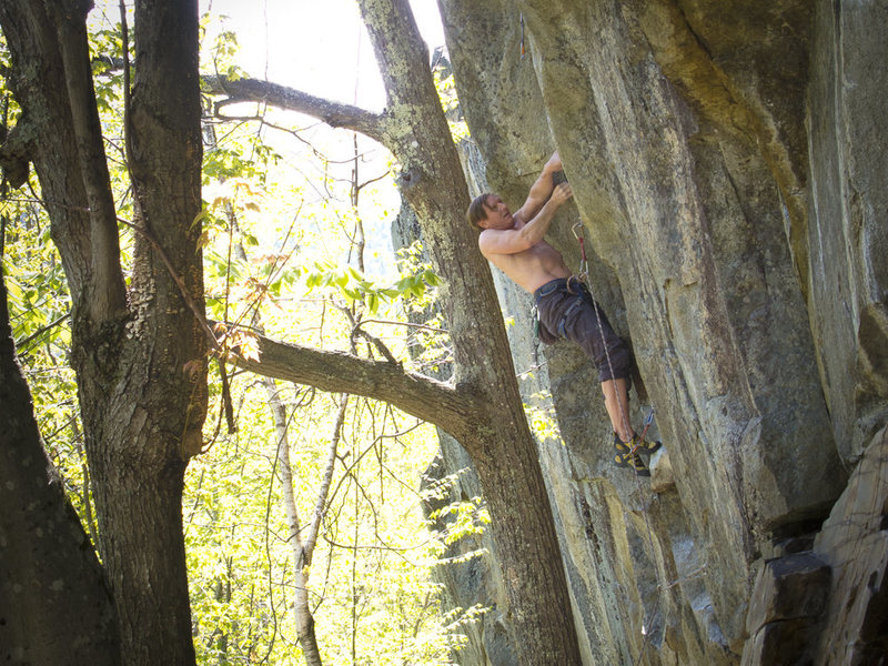 Mark on Yellow Matter Custard. 5.13a. www.bagleyheaybags.blogspot.com