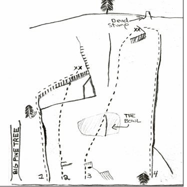 Big Pine Slab Drawing