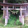 This torii gate marks the entrance to the forest, leading you to the boulders.