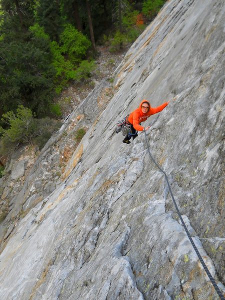 Pitch 2 of The Flakes