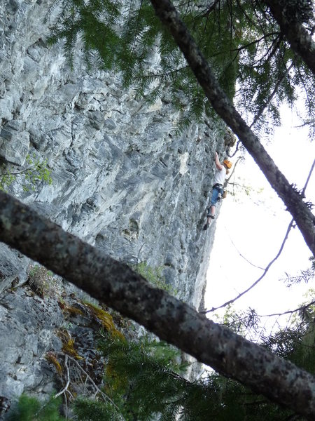 Collen on Epic in a Bottle (5.10a)