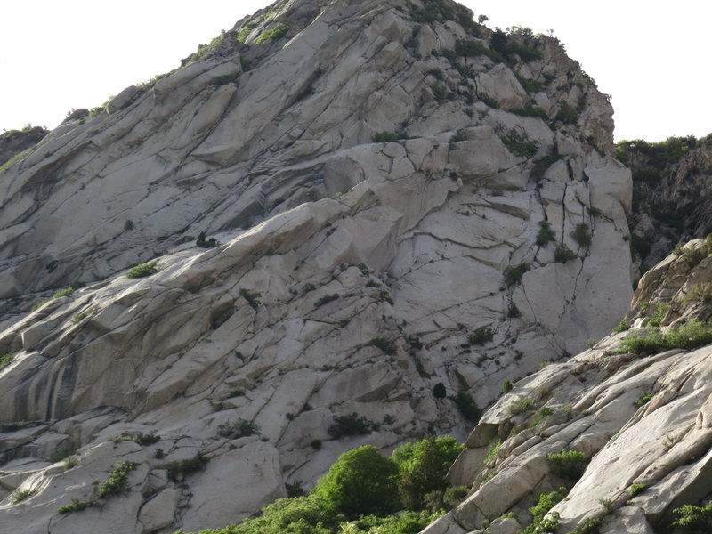 gargoyle wall gully