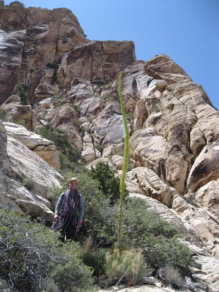 Andrew and the Giant Agave.  Heading up to the base of GLB.